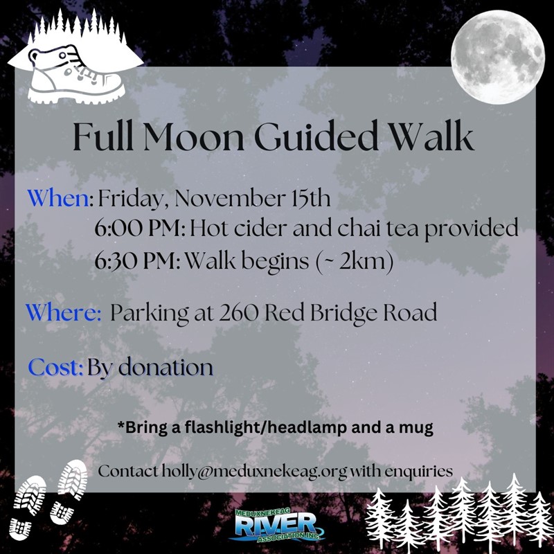 2024-11-15_Full_Moon_Walk